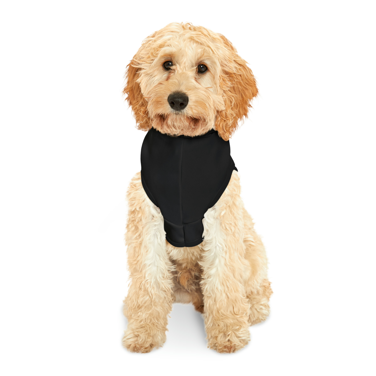 ECOD Pet Hoodie - Image 3